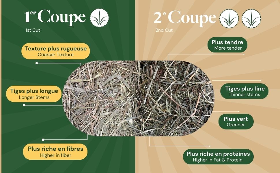 20 lb. | Timothy Hay 1st Cut