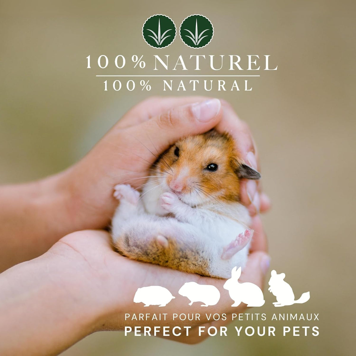 10 lb. | Timothy Hay 2nd Cut