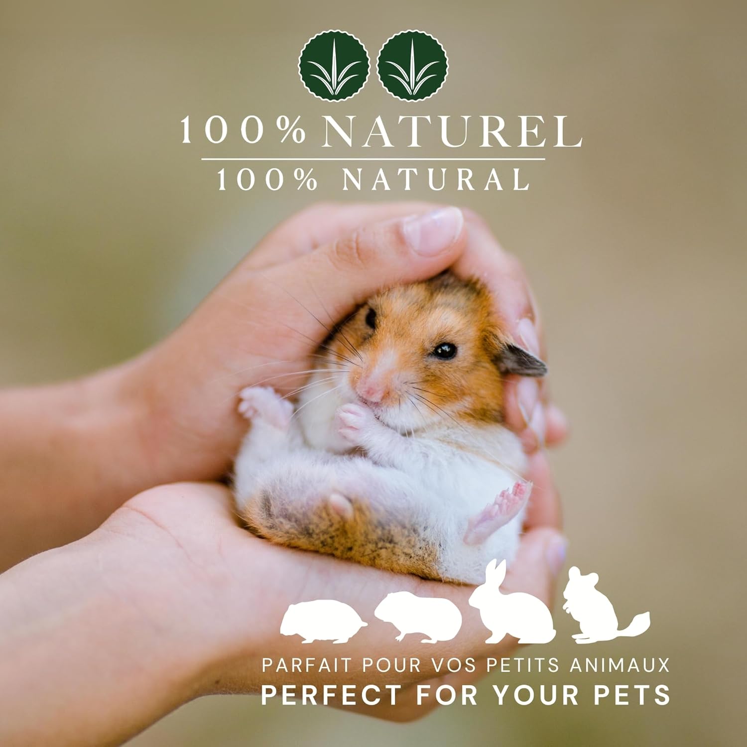 10 lb. | Timothy Hay 2nd Cut