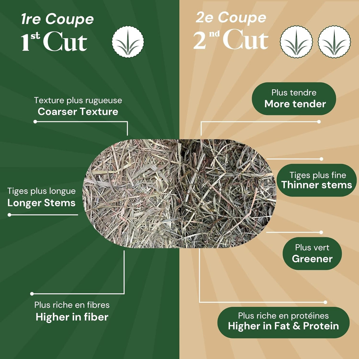 10 lb. | Timothy Hay 2nd Cut