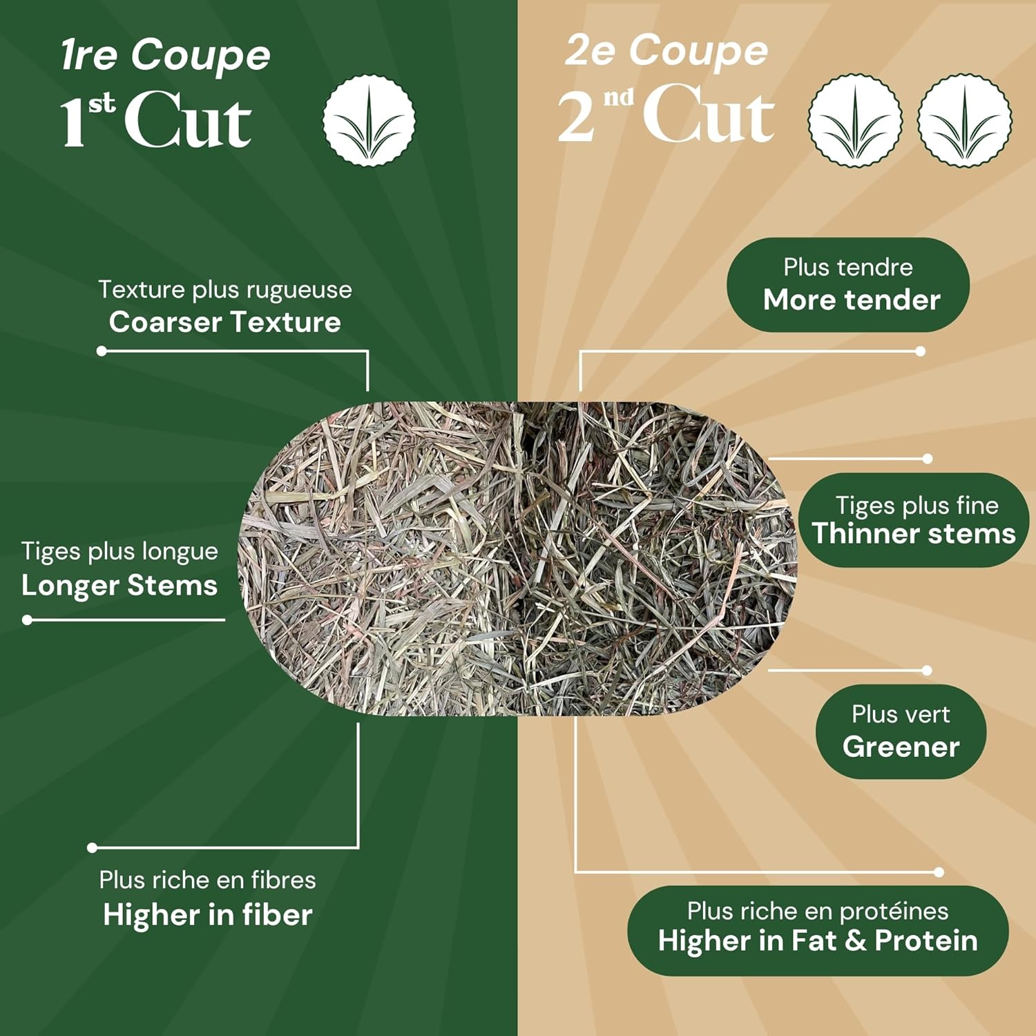10 lb. | Timothy Hay 2nd Cut