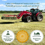 10 lb. | Timothy Hay 2nd Cut