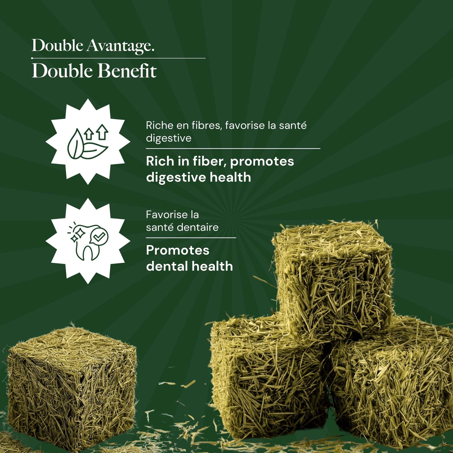 5.8lb | Timothy Hay Cubes for Small Animals