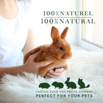 5.8lb | Timothy Hay Cubes for Small Animals