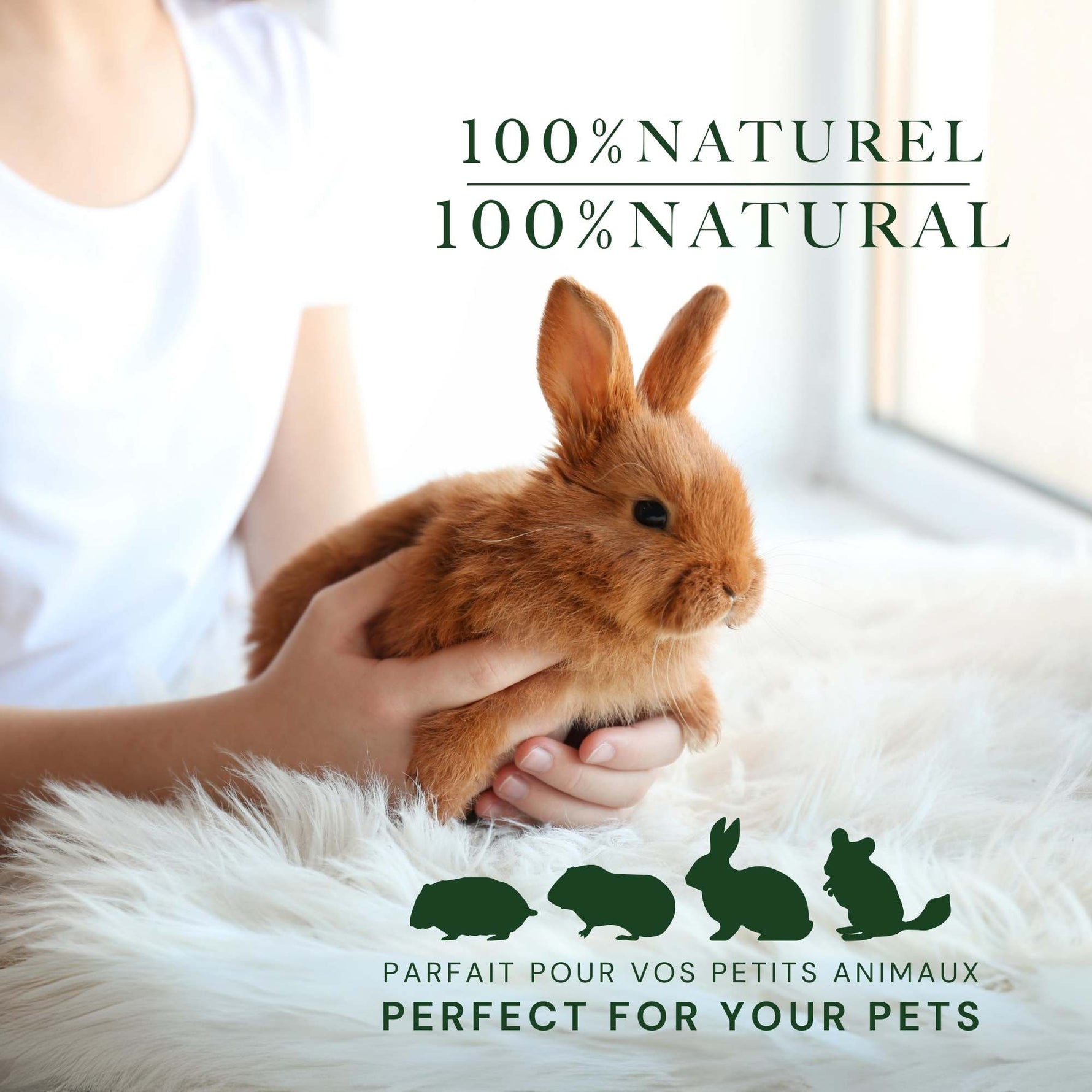 5.8lb | Timothy Hay Cubes for Small Animals