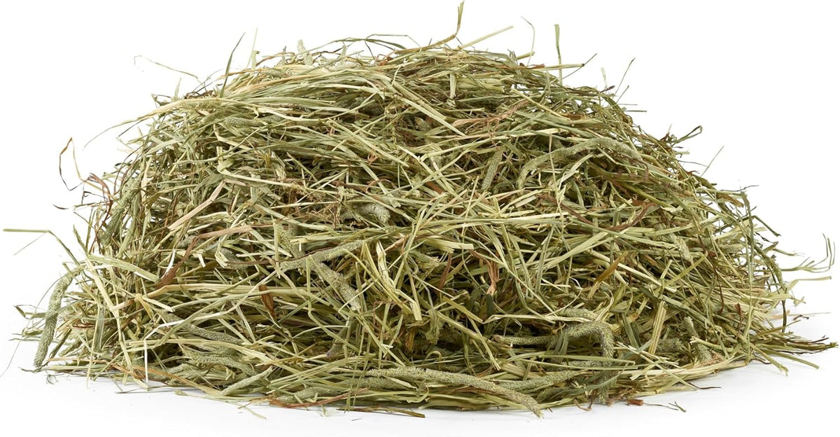 10 lb. | Timothy Hay 1st Cut