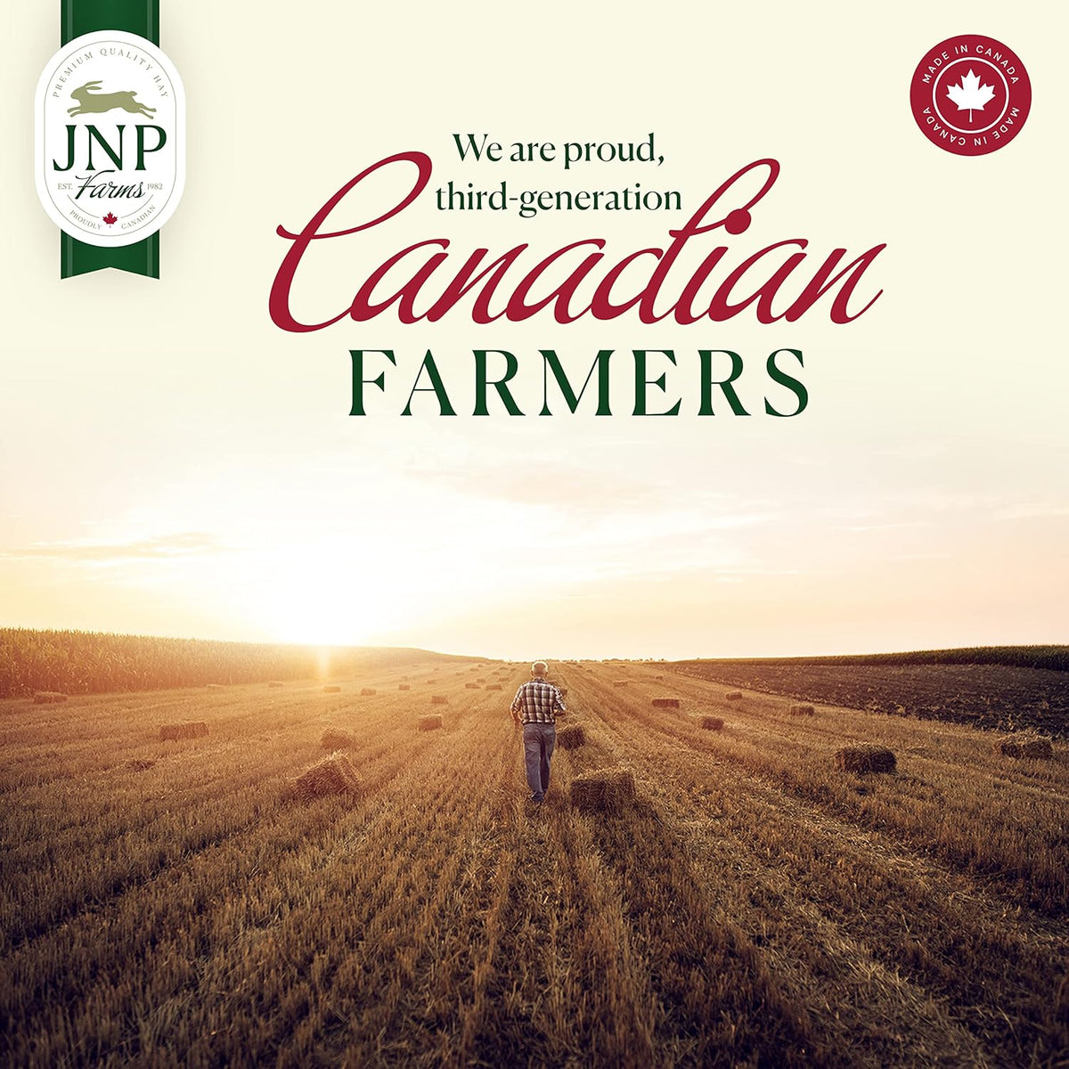 20 lb. | Timothy Hay 1st Cut